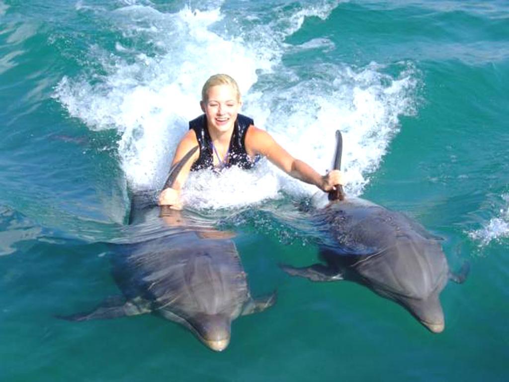 Turtle Beach Towers Apt 22 C - Ocho Rios Eksteriør billede